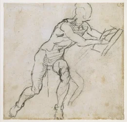 Estudio de un desnudo masculino sentado, c.1511